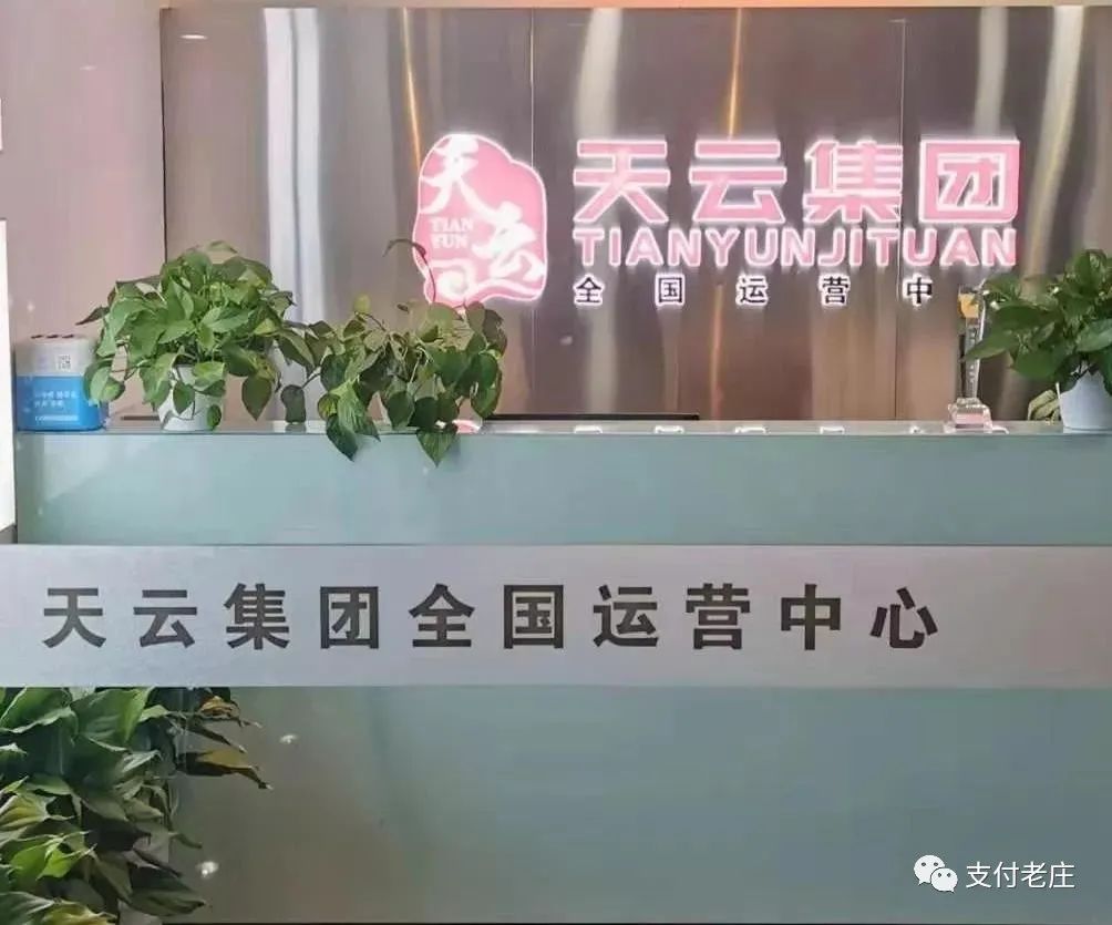 自动草稿